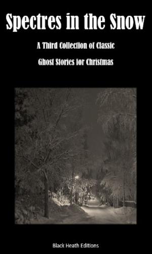 Cover of the book Spectres in the Snow by Becca Seymour