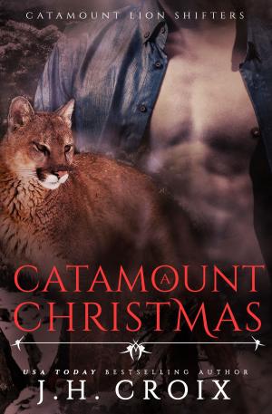 Cover of the book A Catamount Christmas by Lizzie Starr