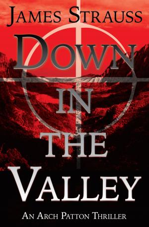 Book cover of Down In The Valley: An Arch Patton Adventure