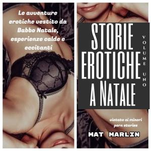 Cover of Storie erotiche a Natale volume uno (porn stories)