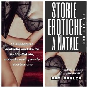 bigCover of the book Storie erotiche a Natale volume due (porn stories) by 