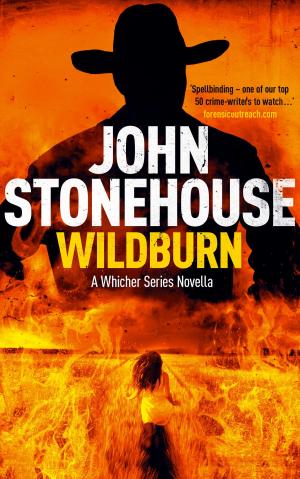 Cover of the book Wildburn by Fabiola Francisco