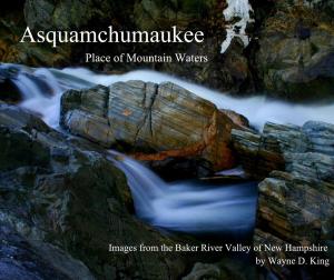 Cover of the book Asquamchumaukee Place of Mountain Waters by Kathryn Muhammad