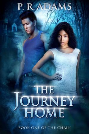 Cover of the book The Journey Home by Brent Jones