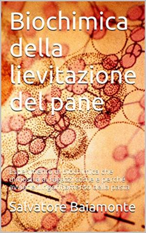 Cover of BIOCHIMICA DELLA LIEVITAZIONE DEL PANE