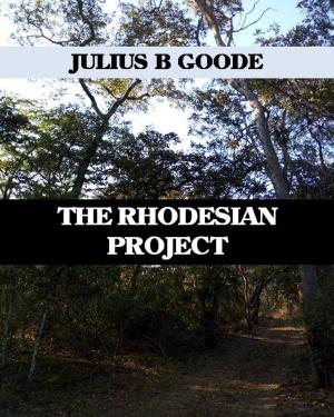Cover of the book The Rhodesian Project by Jared Stephen