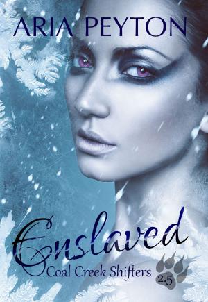 Cover of the book Enslaved by D.T. Dyllin