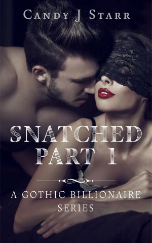 Cover of the book Snatched - Part 1 by Candy J Starr