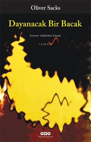 Cover of the book Dayanacak Bir Bacak by Ece Ayhan
