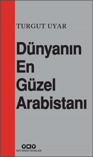 Book cover of Dünyanın En Güzel Arabistanı