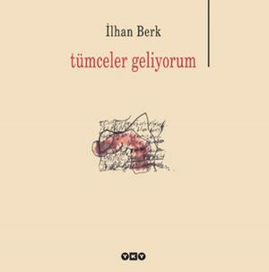 Cover of the book Tümceler Geliyorum by Robert Musil