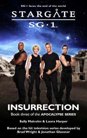 Book cover of Stargate SG-1:30 Insurrection