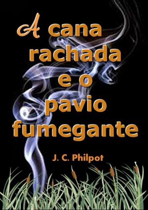 Cover of the book A Cana Rachada E O Pavio Fumegante by Kátia Sanábio