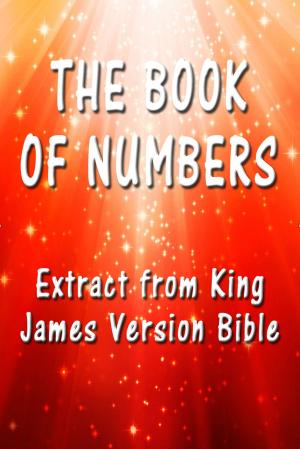 Cover of the book The Book of Numbers by Ibiere Addey