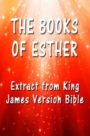 Cover of the book The Book of Esther by Andrei Besedin