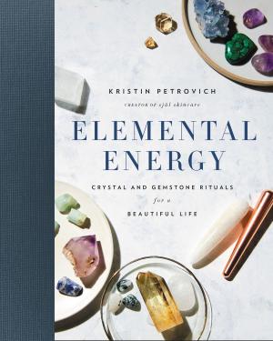 Cover of the book Elemental Energy by John Kim