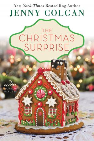 Cover of the book The Christmas Surprise by william chin