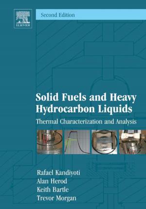 Cover of the book Solid Fuels and Heavy Hydrocarbon Liquids by Achille Cappiello, Pierangela Palma