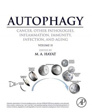 Cover of the book Autophagy: Cancer, Other Pathologies, Inflammation, Immunity, Infection, and Aging by Chandran Karunakaran, Kalpana Bhargava, Robson Benjamin
