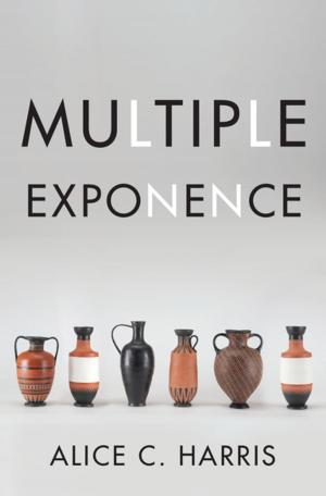 bigCover of the book Multiple Exponence by 