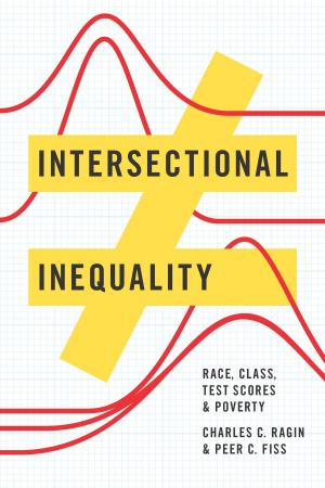 Book cover of Intersectional Inequality