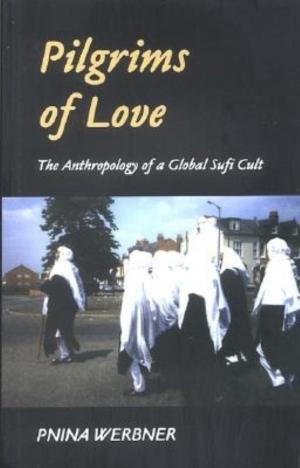 Cover of the book Pilgrims of Love by Adriana M. Brodsky