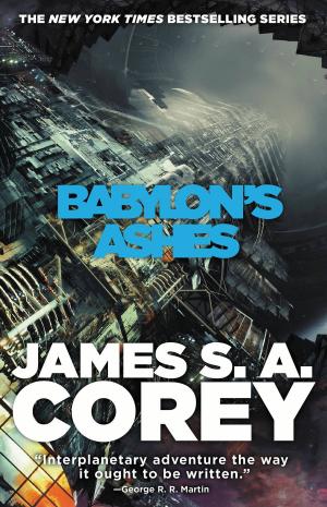 Book cover of Babylon's Ashes