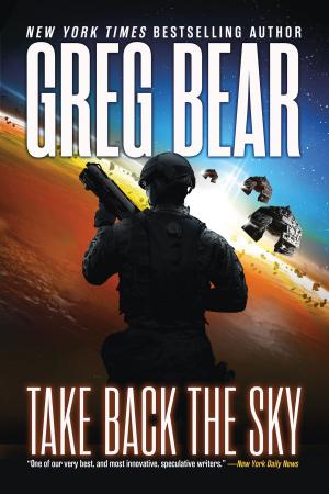 Cover of the book Take Back the Sky by Philip Palmer