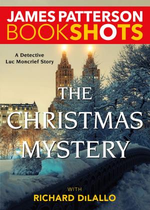 Cover of the book The Christmas Mystery by Paul D. Tieger, Barbara Barron, Kelly Tieger
