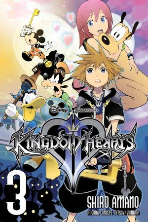 Cover of the book Kingdom Hearts II, Vol. 3 by Mizuki Nomura