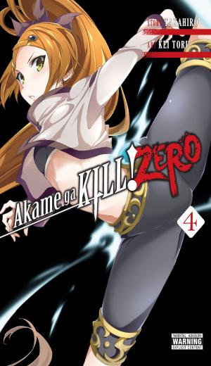 Cover of the book Akame ga KILL! ZERO, Vol. 4 by Reki Kawahara, Neko Nekobyou