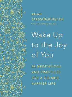 Book cover of Wake Up to the Joy of You