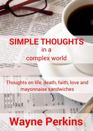 Cover of Simple Thoughts in a complex world