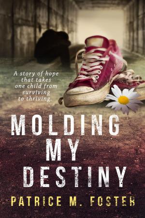 Cover of the book Molding My Destiny by Susan Louise Peterson