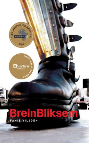 Book cover of BreinBliksem