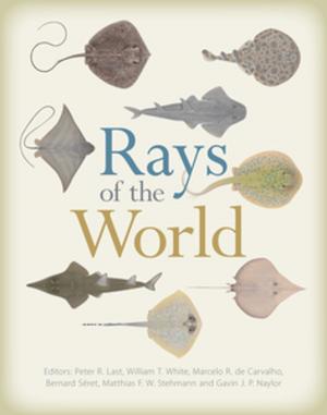 Cover of the book Rays of the World by David Norton  FLS, Nick Reid