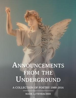 Cover of the book Announcements from the Underground A Collection of Poetry 1988-2016 by Pamela Kaufman