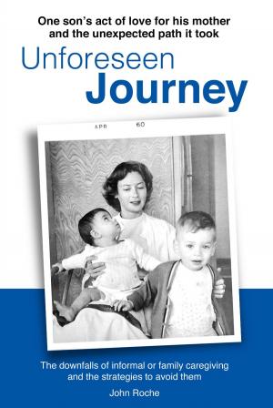 Cover of the book Unforeseen Journey by Comfort A. Folayemi