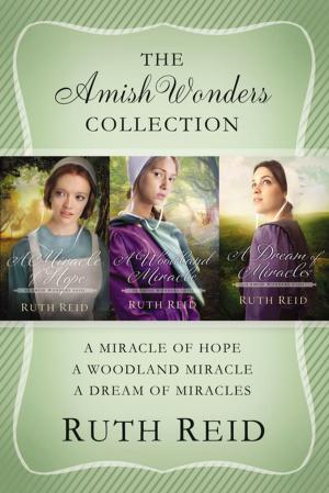 Cover of the book The Amish Wonders Collection by Thomas J. Davis