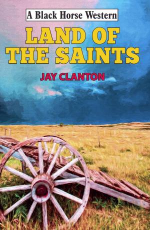 Cover of the book Land of the Saints by Pauline Conolly