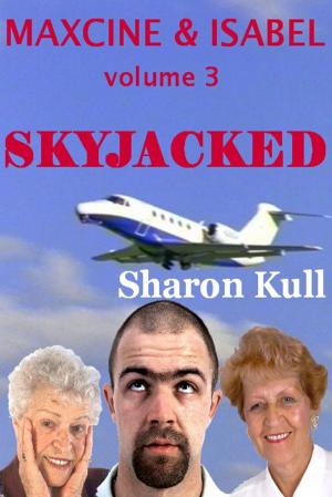 Cover of the book Skyjacked by Jim Parsons