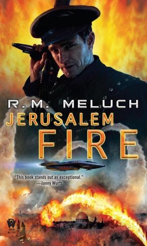Cover of the book Jerusalem Fire by Mickey Zucker Reichert