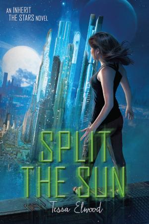 Cover of the book Split the Sun by Michelle Morgan