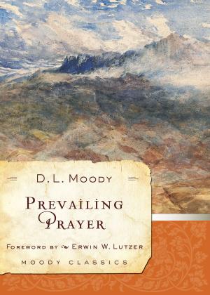 Cover of the book Prevailing Prayer by Tessa Afshar