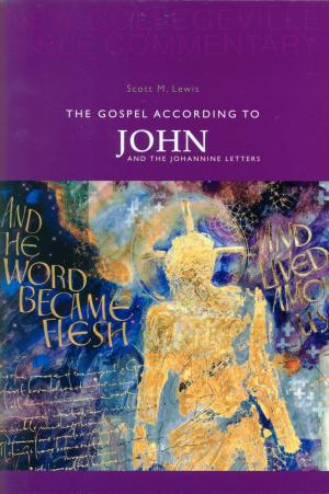 Cover of the book The Gospel According to John and the Johannine Letters by Anthony J. Godzieba