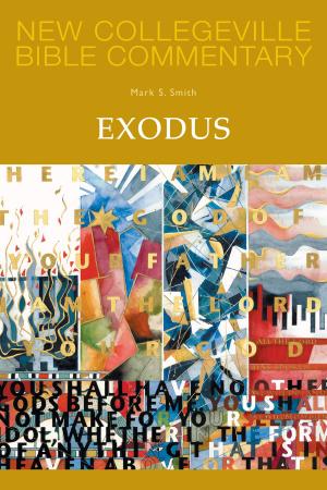 Cover of the book Exodus by Paul Lakeland