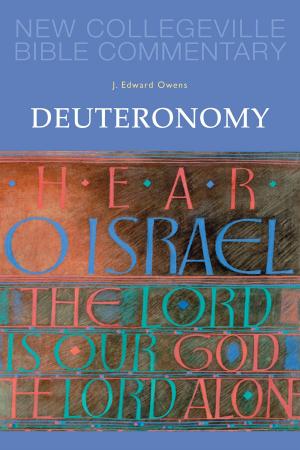 Cover of the book Deuteronomy by Fabrice Blee