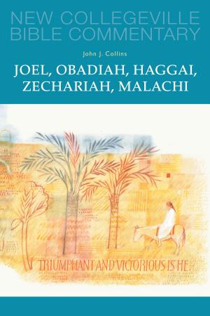 Cover of the book Joel, Obadiah, Haggai, Zechariah, Malachi by Sandra  M. Schneiders IHM