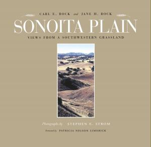 Cover of the book Sonoita Plain by Peter Goin, Peter Friederici