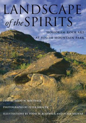 Cover of the book Landscape of the Spirits by David Wentworth Lazaroff